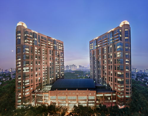 久事衡山大酒店 全面升級煥新顏，餐飲管理再塑滬上地標(biāo)新體驗(yàn)